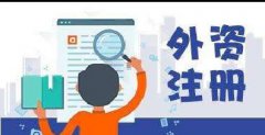 注冊專家王老師解答什么是外資企業(yè)？-上海奉賢經濟園區(qū)，優(yōu)惠注冊公司??！